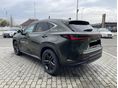 LEXUS NX 2025/3 - 2