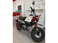 HONDA Z 125 MONKEY 2025 - 1