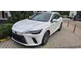 LEXUS RX 2025 - 2
