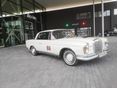 MERCEDES-BENZ 250 1965 - 5