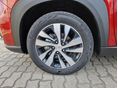 SUZUKI S-CROSS 2026 - 10