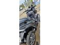 QUADRO QV4 2019/5 - 2