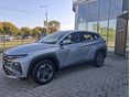 HYUNDAI TUCSON 2025/6 - 12