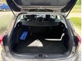 FORD FOCUS 2019/3 - 12