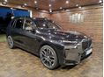 BMW X7 2022/11 - 3