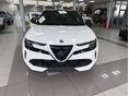 ALFA ROMEO JUNIOR 2025 - 2