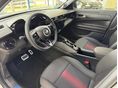 ALFA ROMEO JUNIOR 2025 - 12