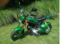 SUZUKI TR 50 S STREETMAGIC 1999/6 - 1