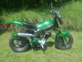 SUZUKI TR 50 S STREETMAGIC 1999/6 - 8