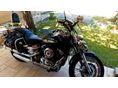 YAMAHA XVS 650 DRAG STAR 2002/5 - 2
