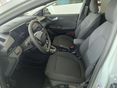FORD PUMA 2026 - 5