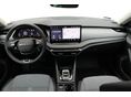 SKODA OCTAVIA 2025/6 - 10
