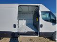 IVECO 35 2025 - 6