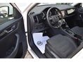 SKODA KODIAQ 2020/11 - 4