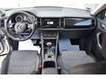 SKODA KODIAQ 2020/11 - 6