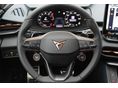 CUPRA TERRAMAR 2025/7 - 11