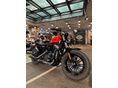 HARLEY-DAVIDSON SPORTSTER 2020/11 - 3