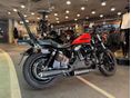 HARLEY-DAVIDSON SPORTSTER 2020/11 - 4