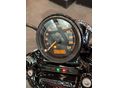 HARLEY-DAVIDSON SPORTSTER 2020/11 - 6