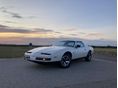 PONTIAC FIREBIRD 1990/1 - 3