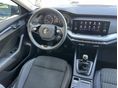 SKODA OCTAVIA 2021/4 - 16