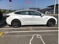 TESLA MODEL 3 2020/3 - 2