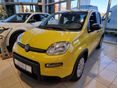 FIAT PANDA 2026 - 2
