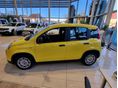 FIAT PANDA 2026 - 3