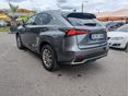 LEXUS NX 2021/6 - 2