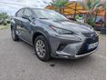 LEXUS NX 2021/6 - 4