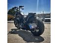 HARLEY-DAVIDSON SOFTAIL 2012/1 - 4