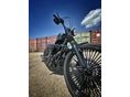 HARLEY-DAVIDSON SOFTAIL 2012/1 - 6