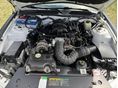 FORD MUSTANG 2006/1 - 7