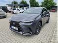 LEXUS NX 2025/3 - 2