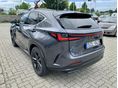 LEXUS NX 2025/3 - 3