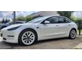 TESLA MODEL 3 2021/2 - 2