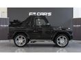 MERCEDES-BENZ G 500 2013/4 - 5