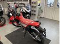 HONDA CRF 300 L 2025 - 3