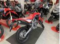 HONDA CRF 300 L 2025 - 4