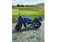 SUZUKI GSF 650 S 2007/4 - 10