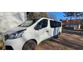 RENAULT TRAFIC 2019/2 - 3
