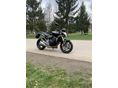 HONDA CB 600 F (HORNET) 2008/4 - 6
