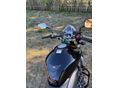 HONDA CB 600 F (HORNET) 2008/4 - 5