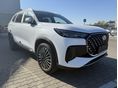 CHERY TIGGO 8 2025/8 - 1
