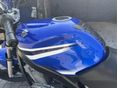 SUZUKI GS 500 E 2007/7 - 14