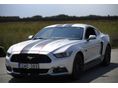 FORD MUSTANG GT Performance