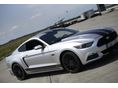 FORD MUSTANG 2015/1 - 12