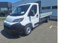 OPEL MOVANO Movano felépítmény szimplakabinos. platós 3.5H L4 2.2 HDi (132 kW / 180LE) MT6