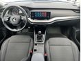 SKODA OCTAVIA 2021/4 - 17