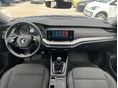 SKODA OCTAVIA 2021/4 - 18